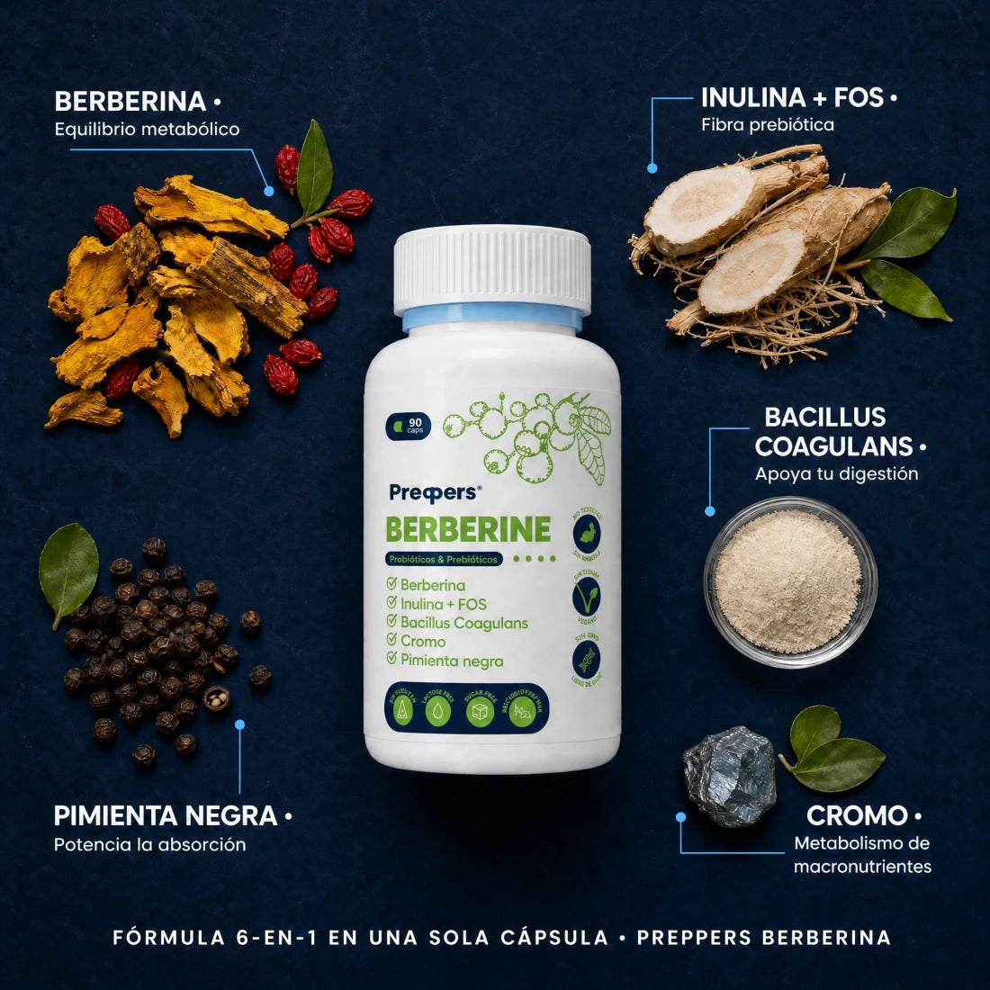 Berberina — fórmula 6 en 1 e ingredientes